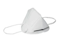 Afbeelding Mondkapjes KN95 FFP2 (20 stuks)