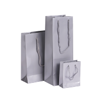 Afbeelding Luxe papieren tassen - Glanzend – Zilver