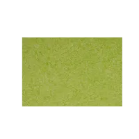 Afbeelding Vloeipapier - groen - citrus